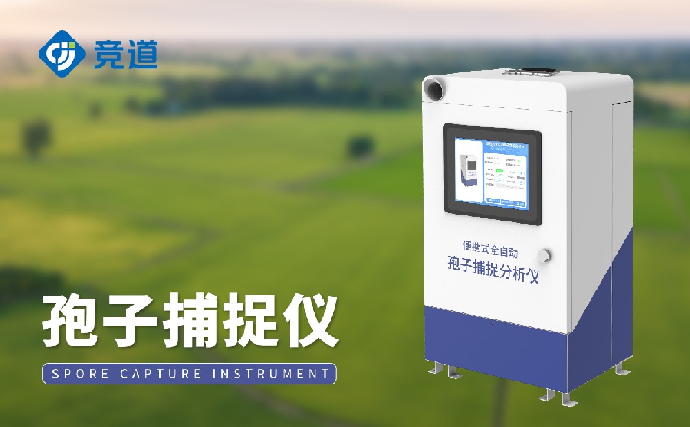 ���Ӳ�׽��